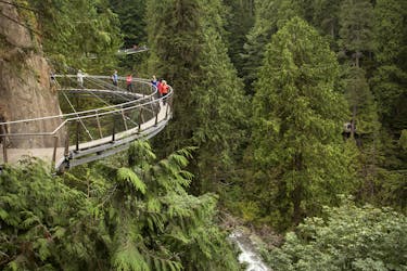 Vancouver City and Capilano Suspension Bridge tour with lunch